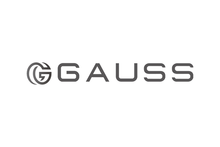 株式会社GAUSS